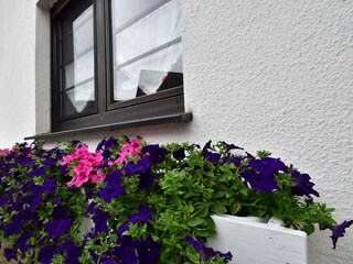 Ferienhaus Eslohe  40