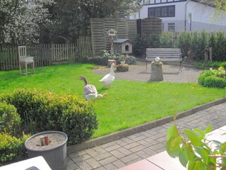 Ferienhaus Eslohe Außenaufnahme 3