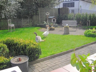 Maison de vacances Eslohe Enregistrement extérieur 3