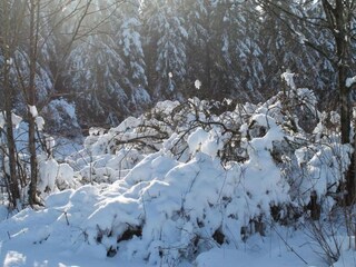 Vakantiehuis Eslohe Omgeving 38