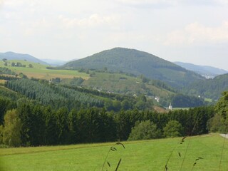 Appartement Oberkirchen Environnement 37