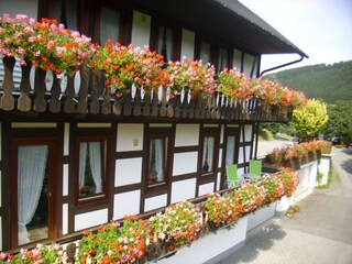 Apartment Oberkirchen Außenaufnahme 14
