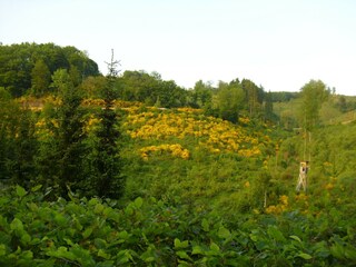 Apartment Oberkirchen Environment 34
