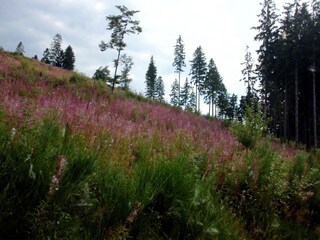 Apartamento Oberkirchen Entorno 35