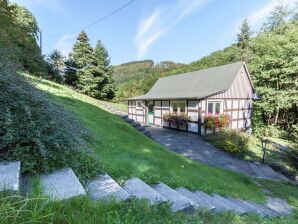 Holiday house Modernes Ferienhaus in Schmallenberg mit Garten - Schmallenberg - image1