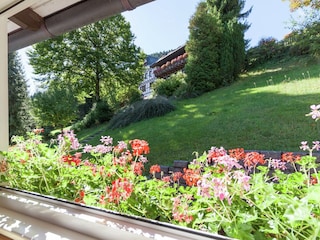 Ferienhaus Oberkirchen Außenaufnahme 3