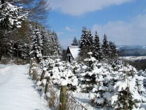 Quiet apartment in Sauerland with  terrace - Eslohe - image1