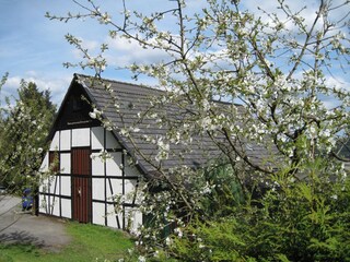 Apartment Eslohe Außenaufnahme 14
