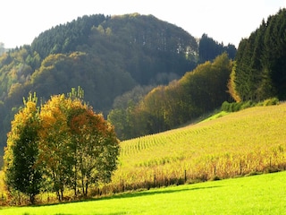 Apartment Oberkirchen Umgebung 23