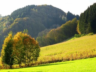 Appartement Oberkirchen Environnement 23