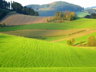 Appartamento Oberkirchen Ambiente 31