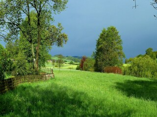 Apartment Oberkirchen Outdoor Recording 7