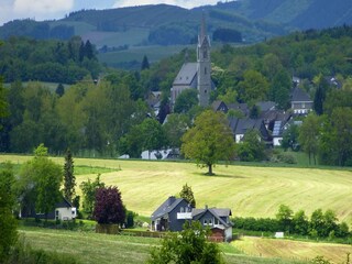 Appartement Oberkirchen Environnement 31