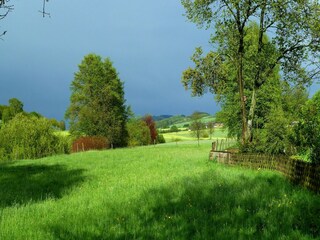 Holiday house Oberkirchen Environment 35