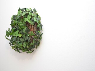 Appartement Oberkirchen  40