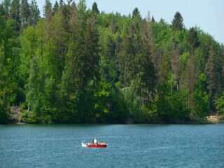 Apartment Oberkirchen Environment 30