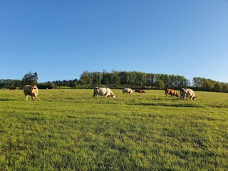 Appartement Attendorn Omgeving 27