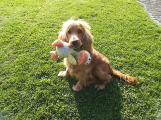 Apartment Attendorn  40