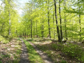 Appartamento Attendorn Ambiente 25