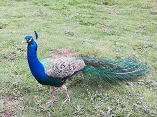 Appartement Attendorn Environnement 19