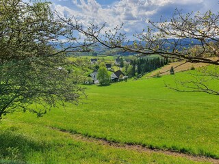 Appartement Attendorn Omgeving 15