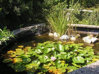 Apartment Attendorn  38