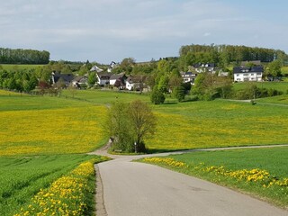 Appartement Attendorn Environnement 15