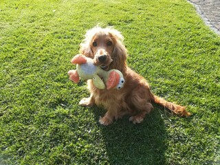 Appartamento Attendorn  37