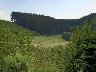 Apartamento Attendorn Entorno 28