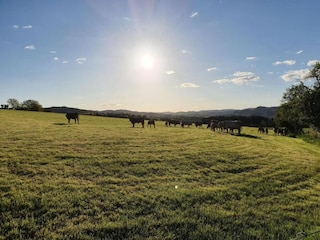 Appartement Attendorn Omgeving 32