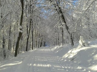 Appartamento Attendorn Ambiente 33