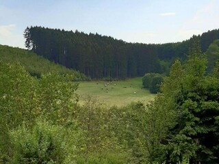 Apartamento Attendorn Entorno 19