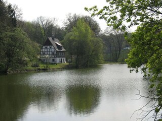 Ferienhaus Meschede Außenaufnahme 5