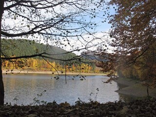 Vakantiehuis Meschede Omgeving 23