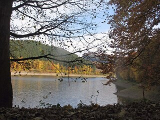 Ferienhaus Meschede Umgebung 22