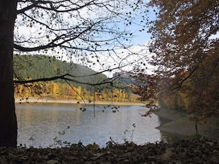 Maison de vacances Meschede Environnement 22