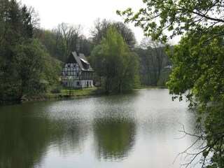 Ferienhaus Meschede Umgebung 34