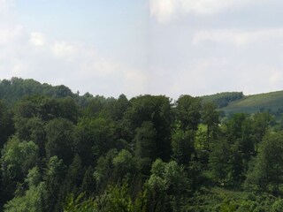 Ferienhaus Meschede Außenaufnahme 6