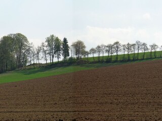 Vakantiehuis Meschede Omgeving 33