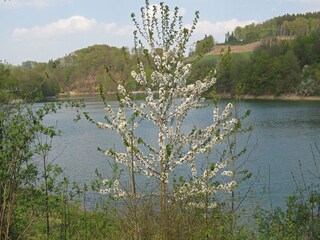 Vakantiehuis Meschede Omgeving 37