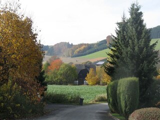 Vakantiehuis Meschede Omgeving 35