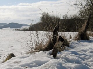 Ferienhaus Meschede Umgebung 25