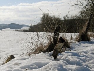 Casa per le vacanze Meschede Ambiente 33