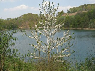 Maison de vacances Meschede Environnement 37