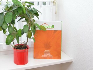 Apartamento Meschede Características 11