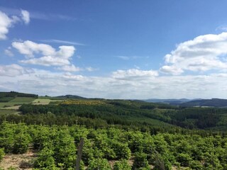 Apartamento Meschede Entorno 35