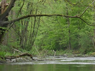 Appartement Meschede Environnement 33