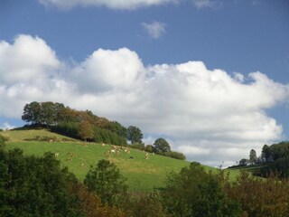 Appartement Meschede Environnement 36