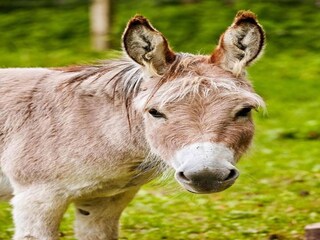 Appartement Meschede Omgeving 31