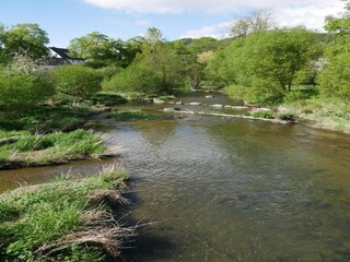Appartement Meschede Environnement 36